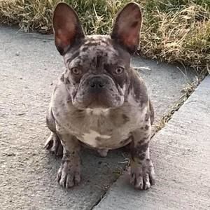 Meet your Posher, Rafael